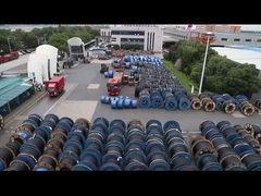 1.5mm SDI à noyau unique fil électrique double isolé 450/750V PVC/PVC (RÉGLE/BLANC)